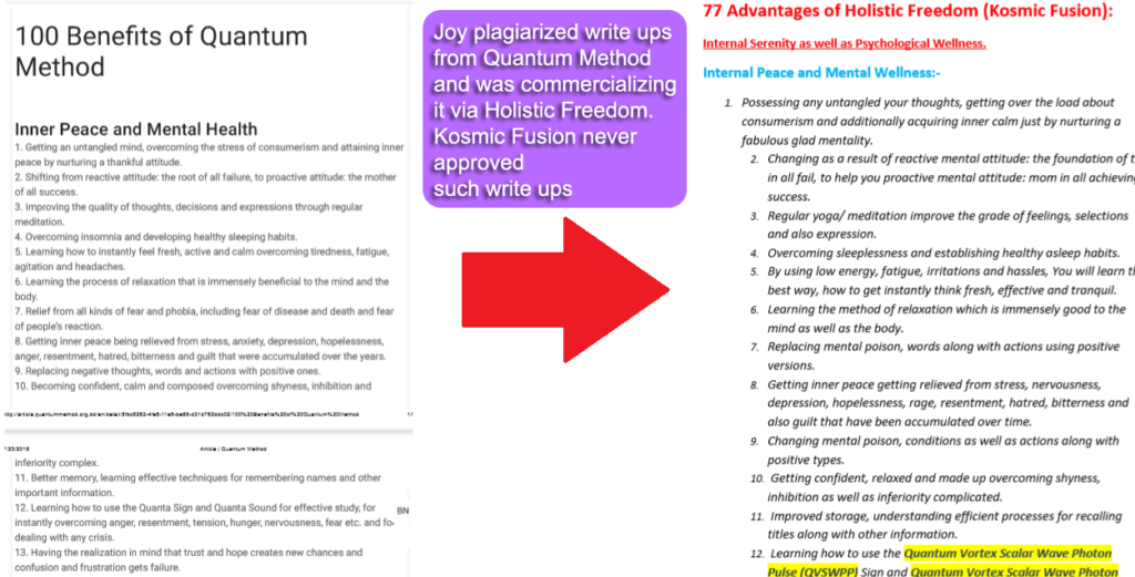 Plagiarism - Joy Kuo copied write ups from Quantum Method as Holistic Freedom work